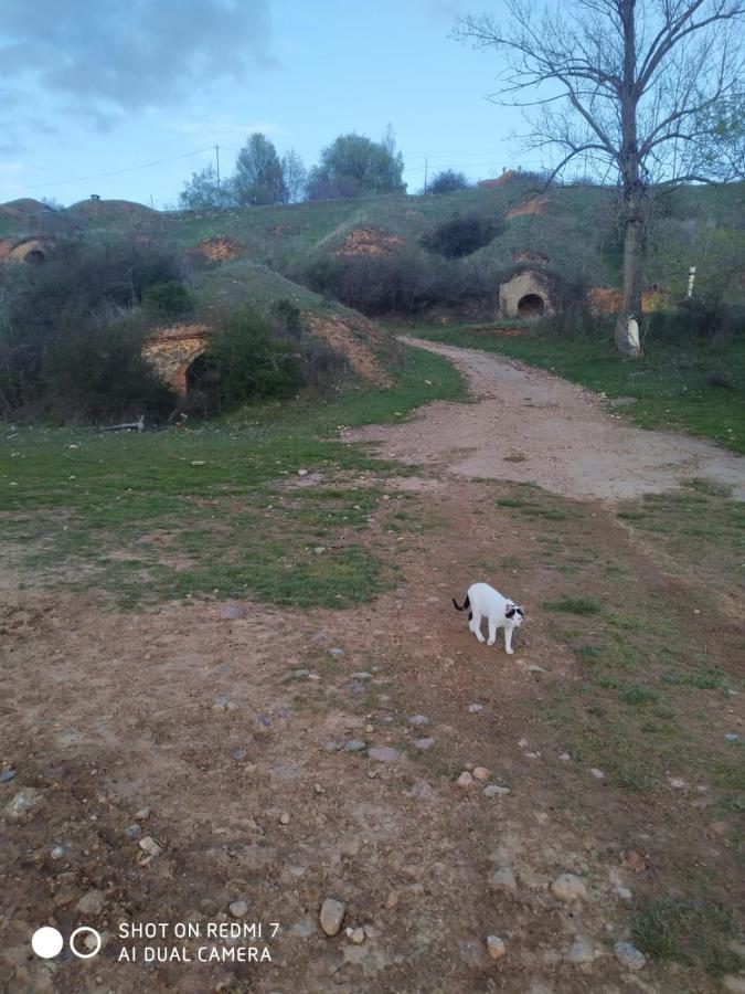 Miradoralaribera Rural